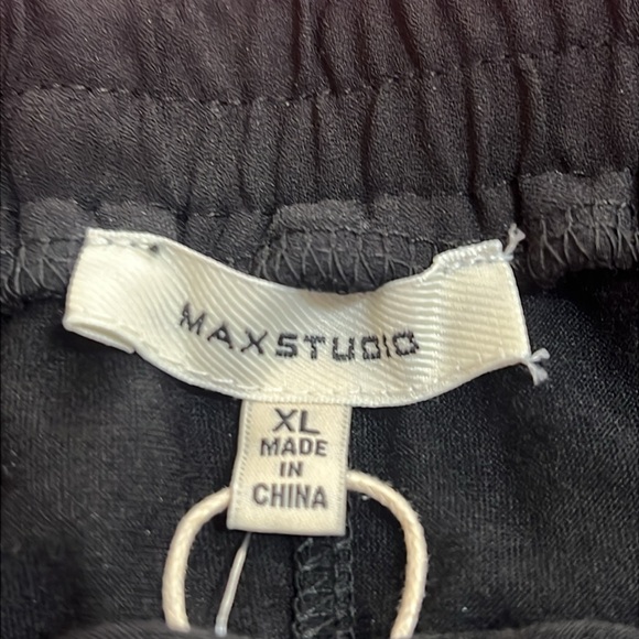 Max Studio Black Midi A-Line Pleated Skirt. XL.  NWT - Picture 2 of 7